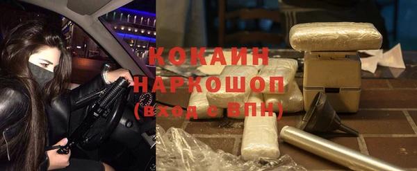 тгк Богородицк