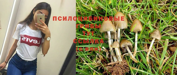тгк Богородицк
