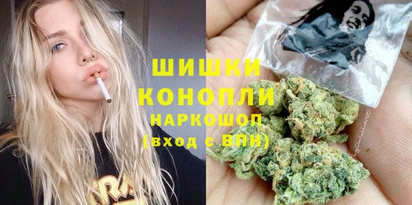 тгк Богородицк