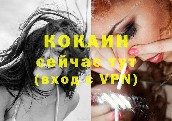тгк Богородицк